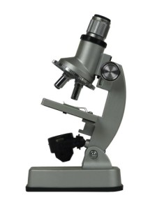 microscop (350 x 467)